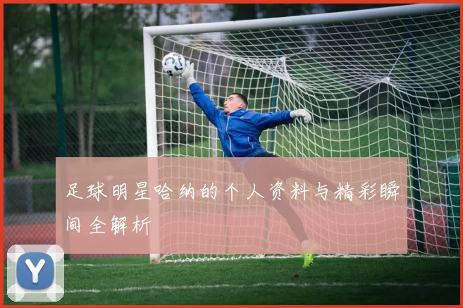 足球明星哈纳的个人资料与精彩瞬间全解析